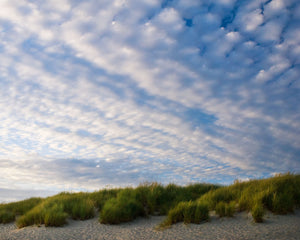 OR33 Clouds Above The Beach 0156