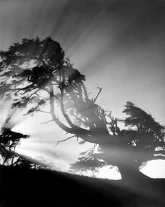 1925A Oregon Coast