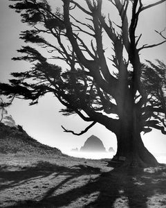 1927C Haystack Rock Cannon Beach Oregon