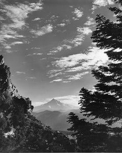 2513 Mt Hood from Larch Mountain