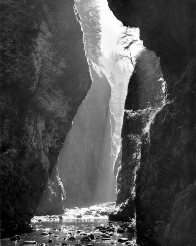 2864A Oneonta Gorge Columbia River Gorge