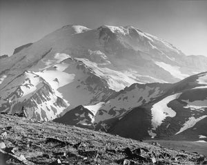 3115 Mt Rainier Emmons and Winthrop Glaciers from Burroughs Mt