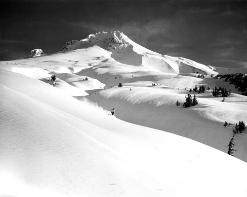 3561D Mt Hood from Timberline