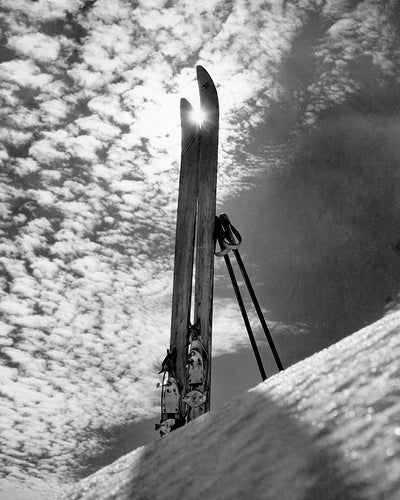 3564A Skis