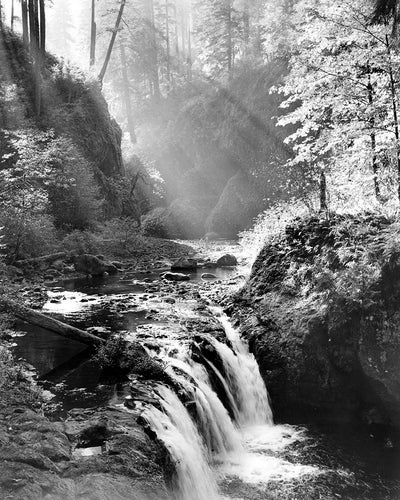 3652A Eagle Creek Columbia River Gorge