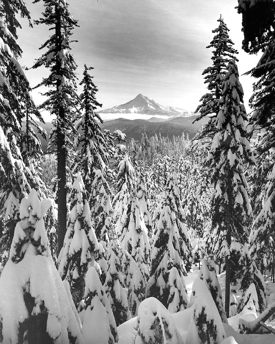 3666A Mt Hood from Larch Mountain Oregon