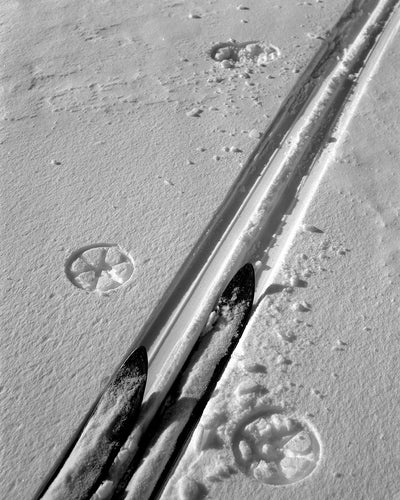 3670C Skis and Tracks