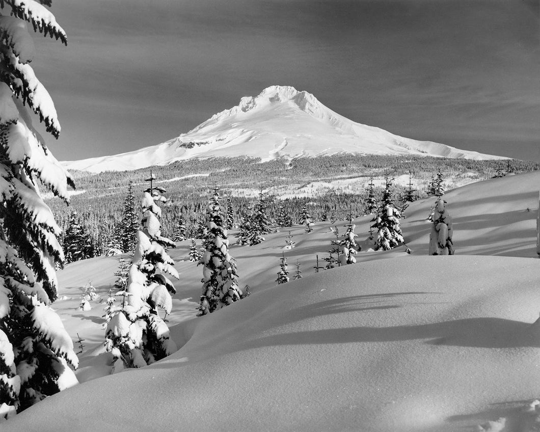 3673A Mt Hood from Ski Bowl