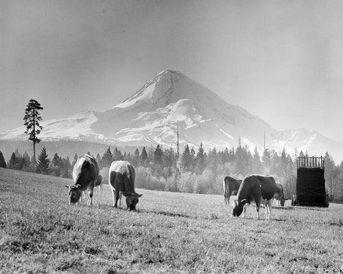 3978 Mt Hood Upper Hood River Valley