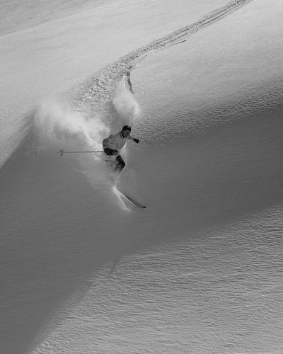 4034B Dave Quinney Alta