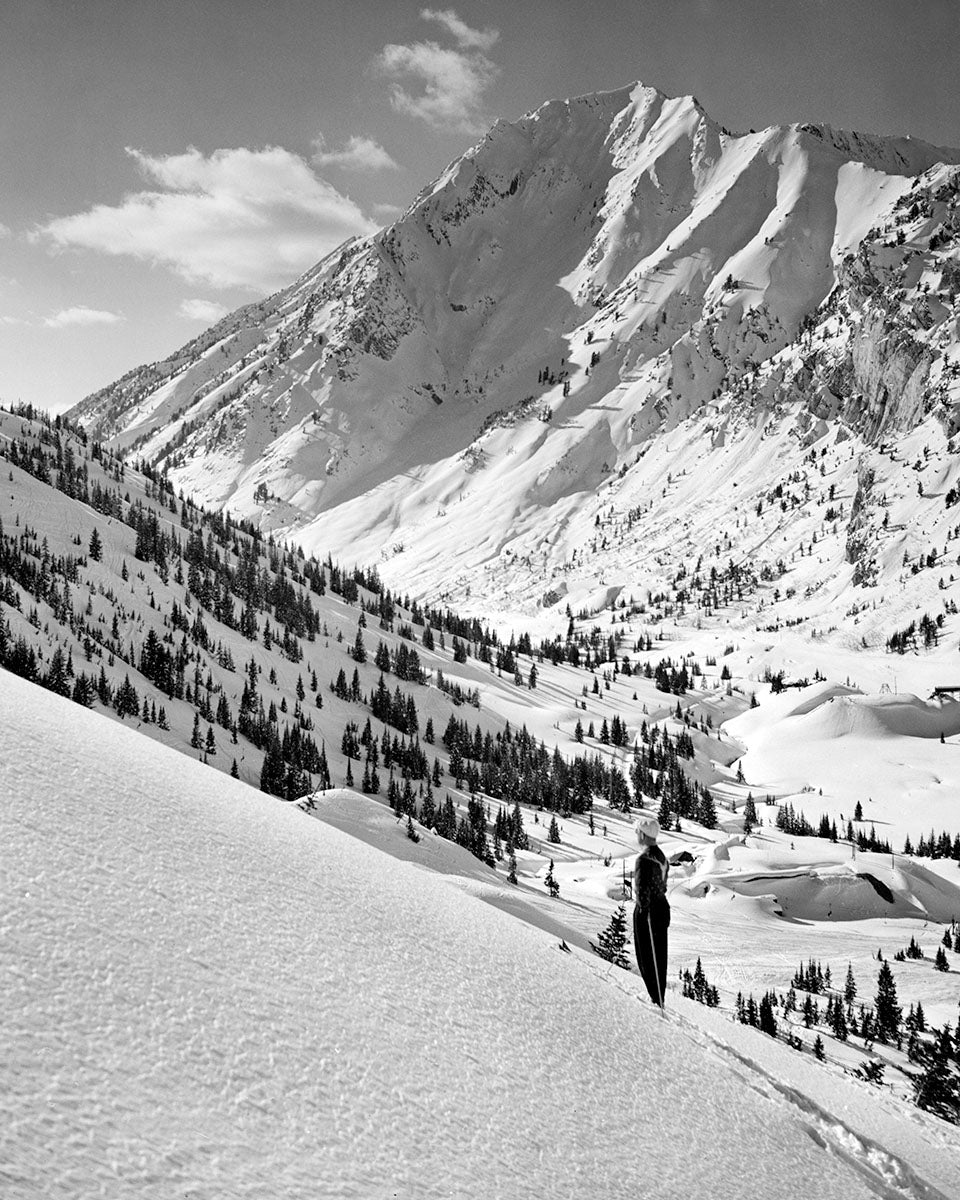 4037A Mt Superior Alta