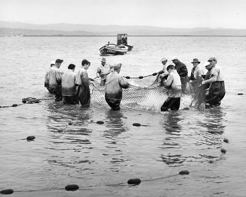 4181 Fishing on the Columbia River near Astoria Oregon
