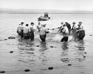 4181 Fishing on the Columbia River near Astoria Oregon