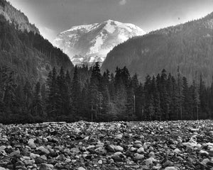 425 Mt Rainier Willis Wall Carbon River