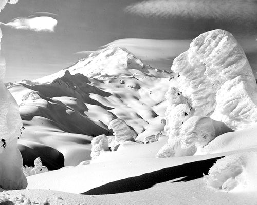 4263A Mt Baker Washington