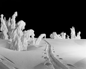 5878A Night Tracks Timberline Lodge Mt Hood Oregon