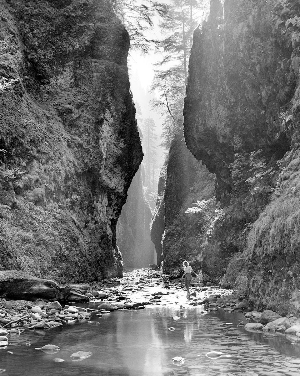 6558A Oneonta Gorge Columbia River Gorge