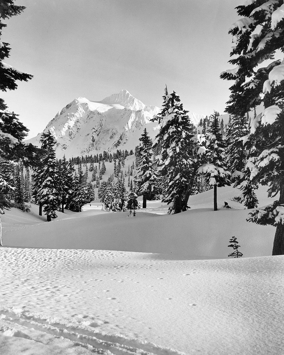 6593A Mt Shuksan