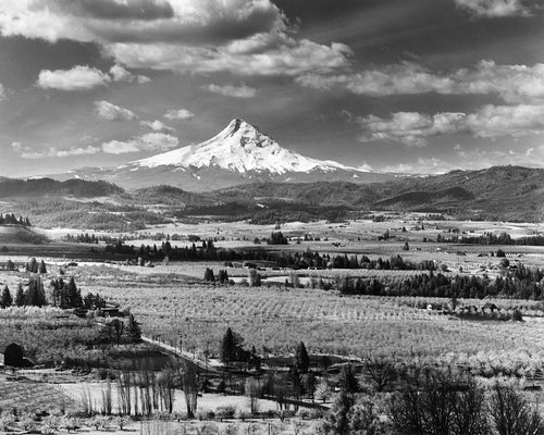 7118 Mt Hood Hood River Valley