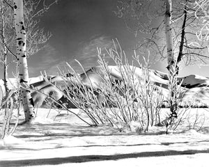 7205D Winter in Sun Valley Idaho