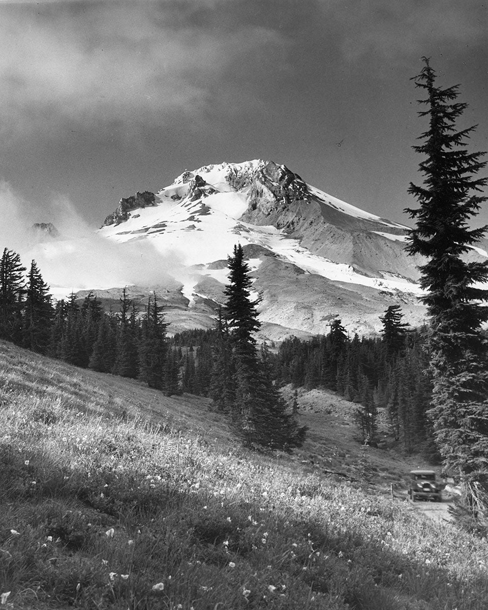 725 Mt Hood Wildflowers Timberline