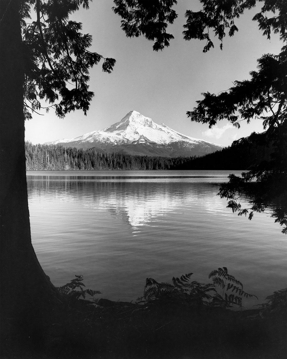 7399 Mt Hood Lost Lake