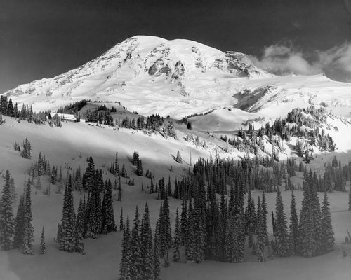 7473 Mt Rainier Paradise Valley
