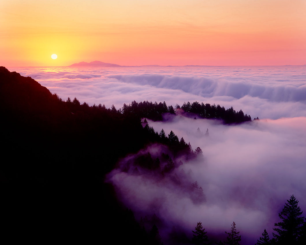 CA15 Mt Tamalpais State Park Sunrise 0005