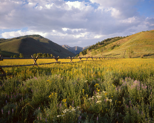 ID12 Boulder Mountains Sawtooth NRA 0001