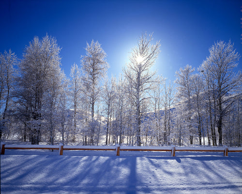 ID36 Winter morning near Sun Valley 0001