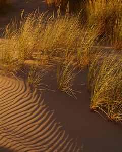 OC12 Sand Dunes 0001