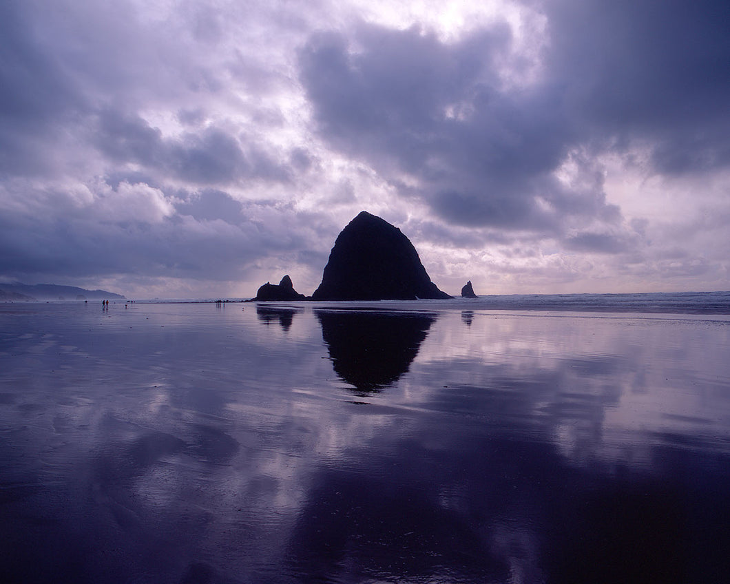 OC65 Cannon Beach State Park 0347