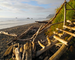 OC65 Driftwood Stairs 2972