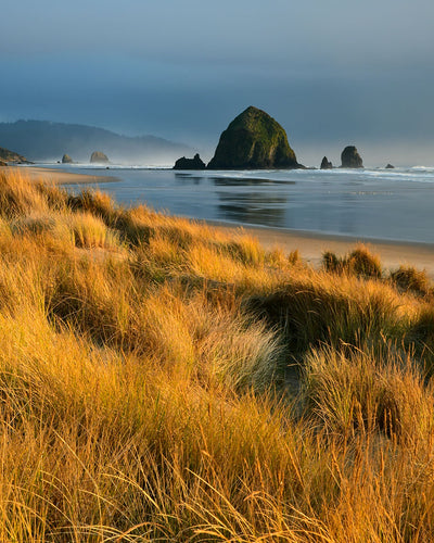 OC65 Haystack Rock Cannon Beach 0185