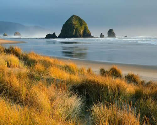 OC65 Haystack Rock Cannon Beach 0188