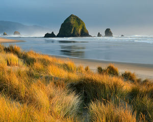 OC65 Haystack Rock Cannon Beach 0188