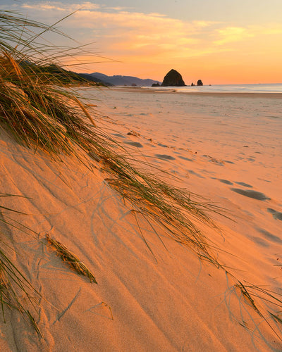 OC65 Haystack Rock Cannon Beach 1690
