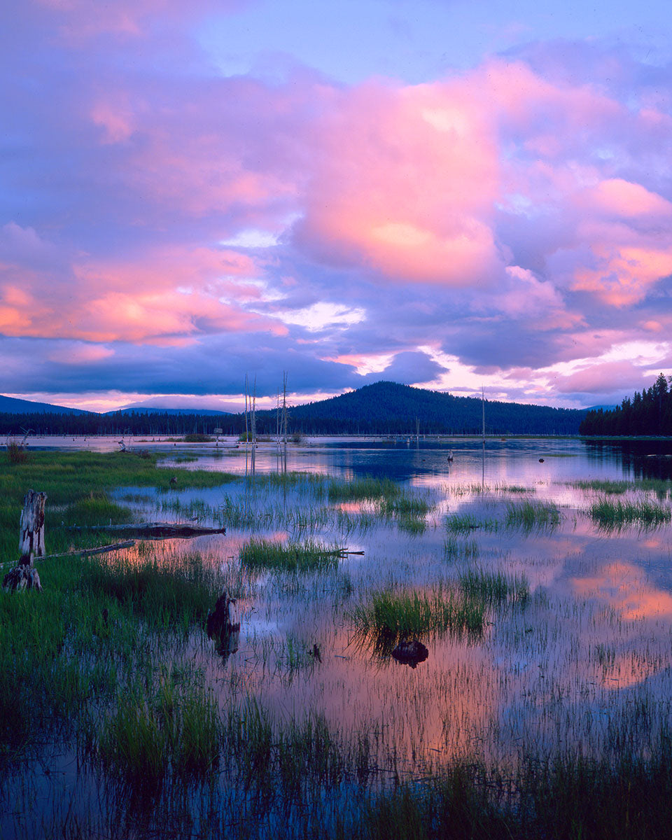 OR04 Craine Prairie Reservoir 1187