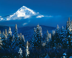 OR04 Mount Hood Winter Storm 0099