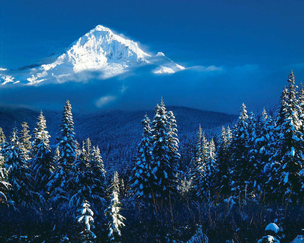 OR04 Mount Hood Winter Storm 0099