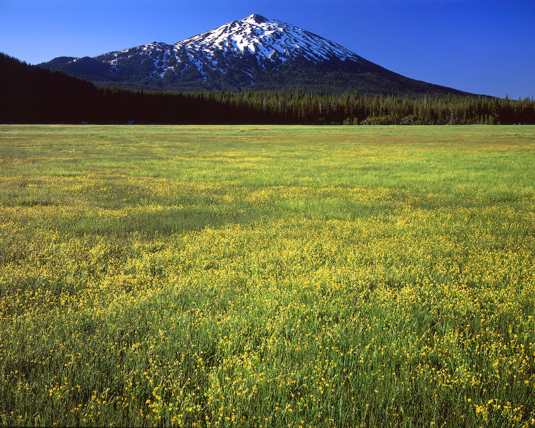 OR04 Mt Bachelor Sparks Lake Meadow 0859