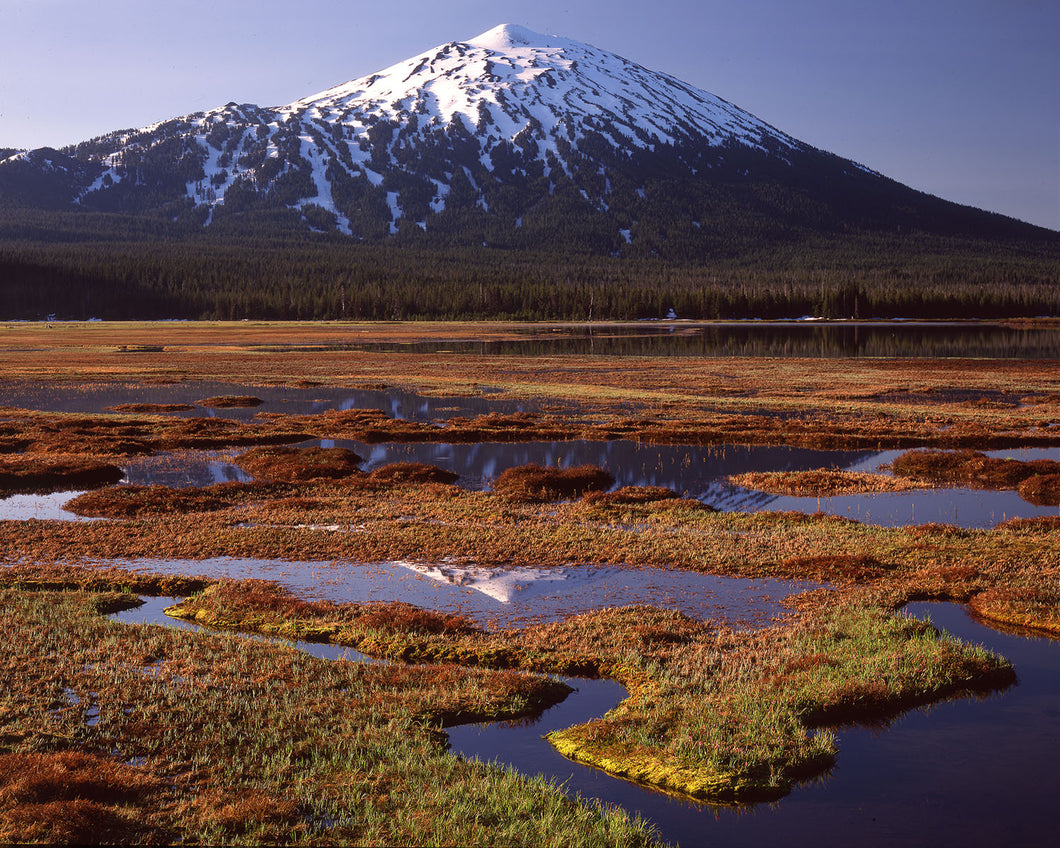 OR04 Mt Bachelor Sparks Lake Meadow 1380