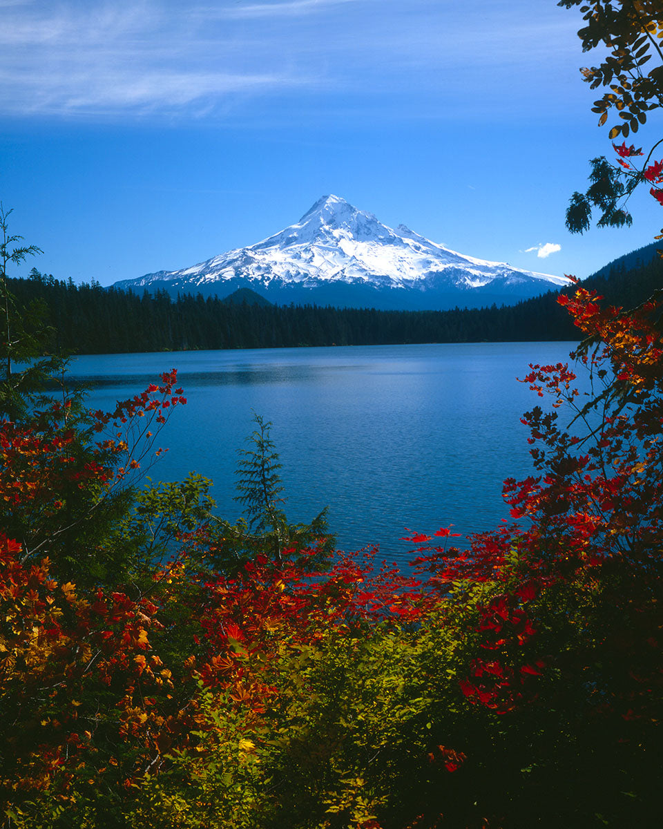 OR04 Mt Hood Lost Lake 0159