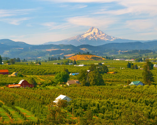 OR05 Hood River Valley and Mt Hood 6466