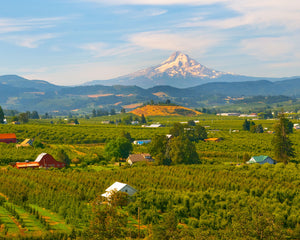 OR05 Hood River Valley and Mt Hood 6466