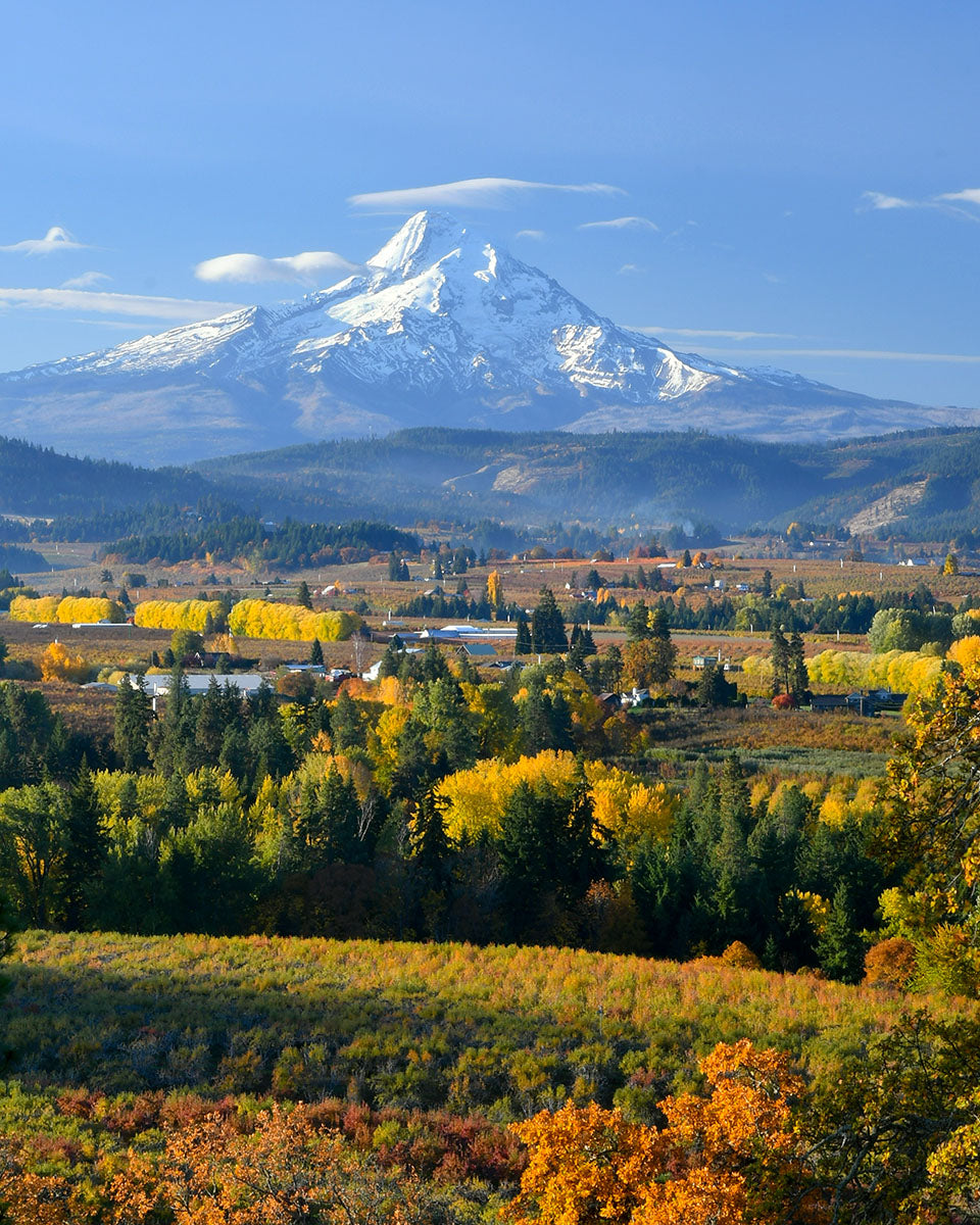 OR05 Mt Hood Hood River Valley 3691
