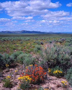 OR07 Lakeview Scenic Byway 0123