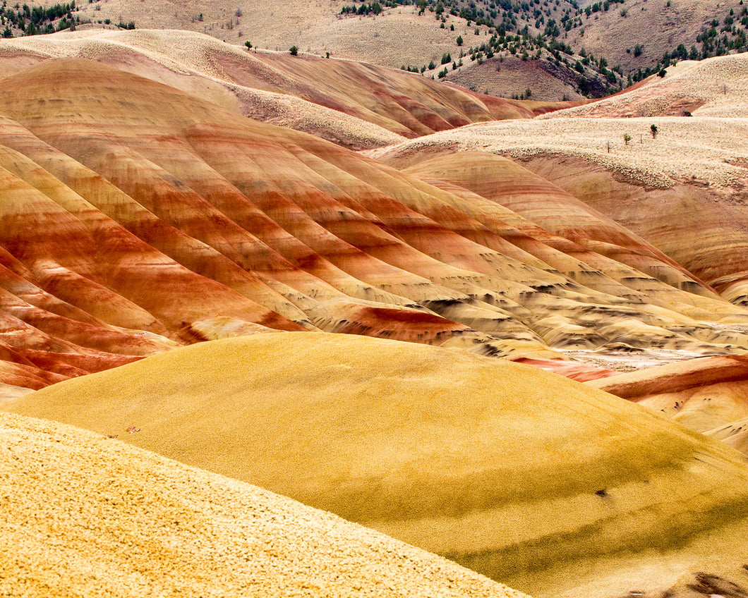 OR07 Painted Hills National Monument 4298