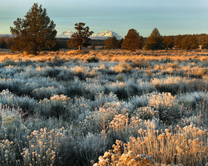 OR11 Three Sisters from Deschutes County 7740