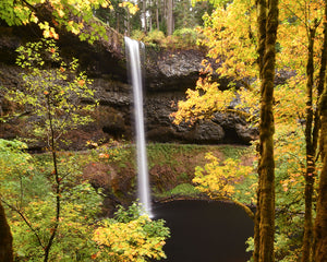 OR15 Silver Falls State Park 0131